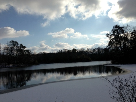 Mount Airy mill pond. 