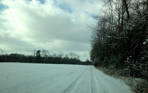 Snowy lane into Menokin. 