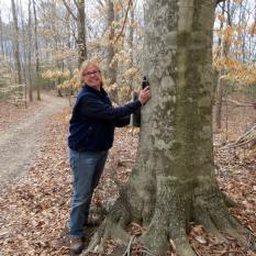 Cathy Sachs documents the GPS coordinates of this lovely beech tree in the woods at Menokin.